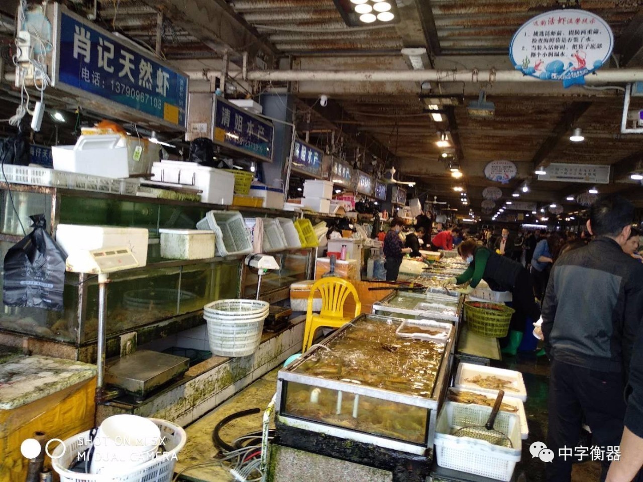 湛江霞山水产品批发市场--食用农产品溯源系统 探索“互联网+监管”