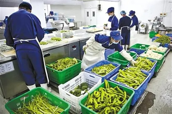生鲜配送模式